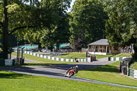 Middle Group Red Bikes